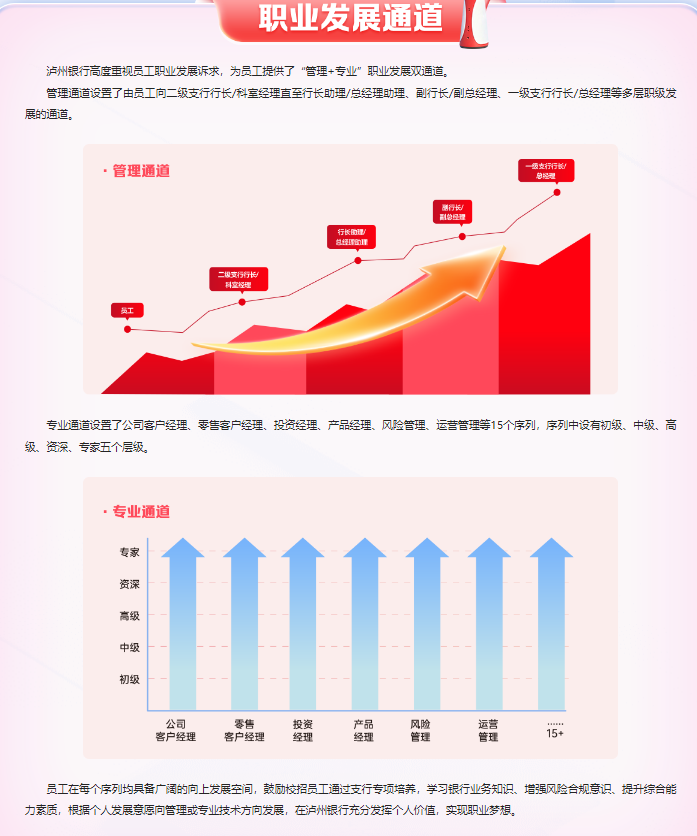 職業(yè)發(fā)展通道